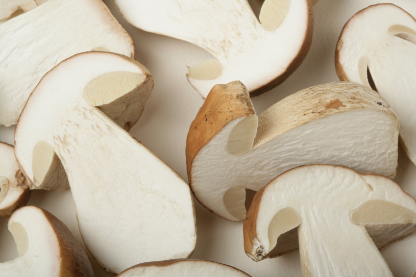 Funghi Porcini Biologici surgelati Funghi Porcini Biologici surgelati