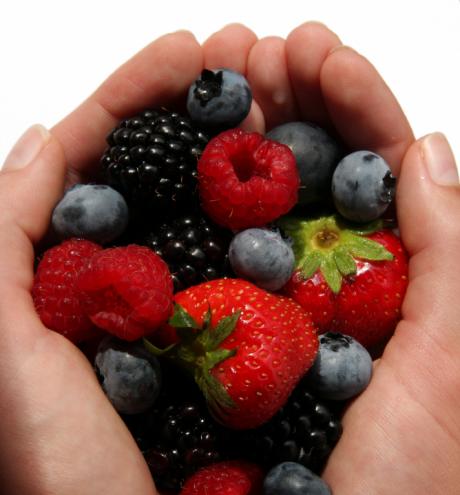 I Frutti di Bosco
